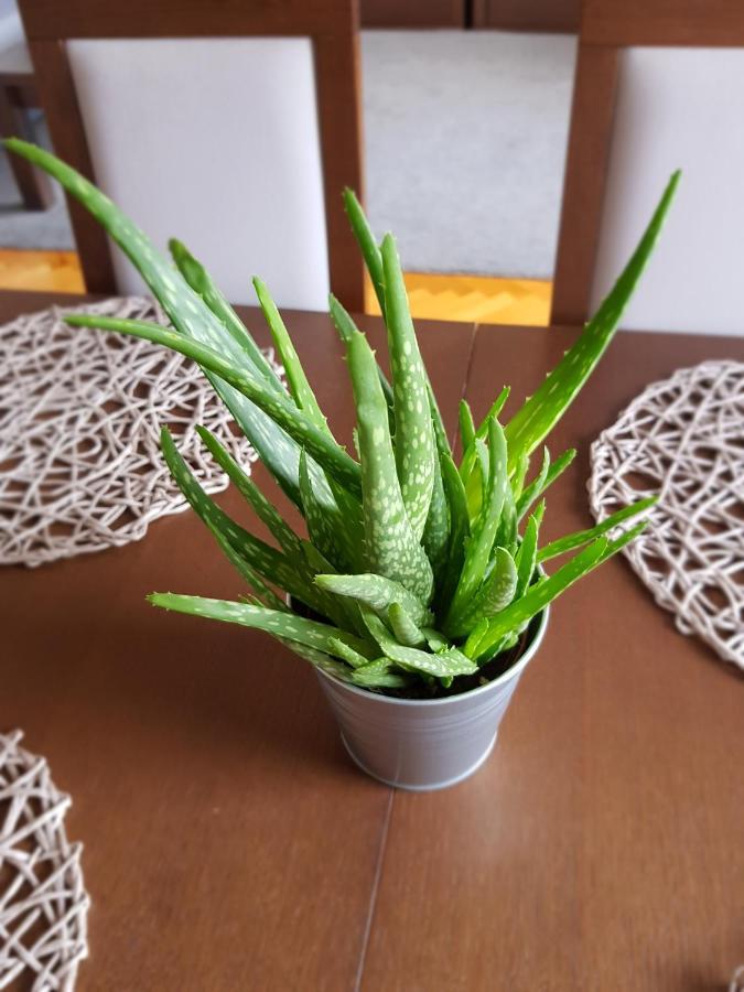Wygodny Przestronny Apartament Janowskie Blonia רומיה מראה חיצוני תמונה