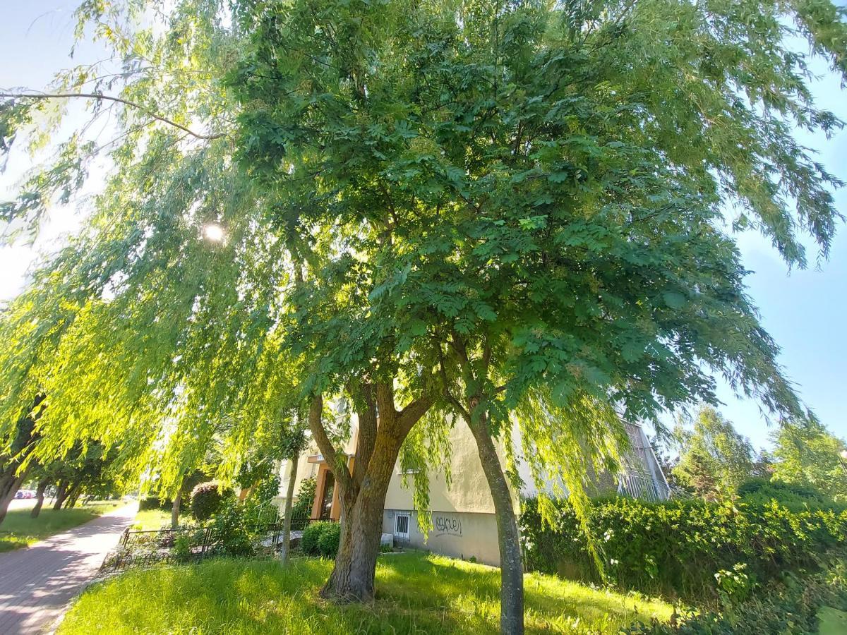 Wygodny Przestronny Apartament Janowskie Blonia רומיה מראה חיצוני תמונה
